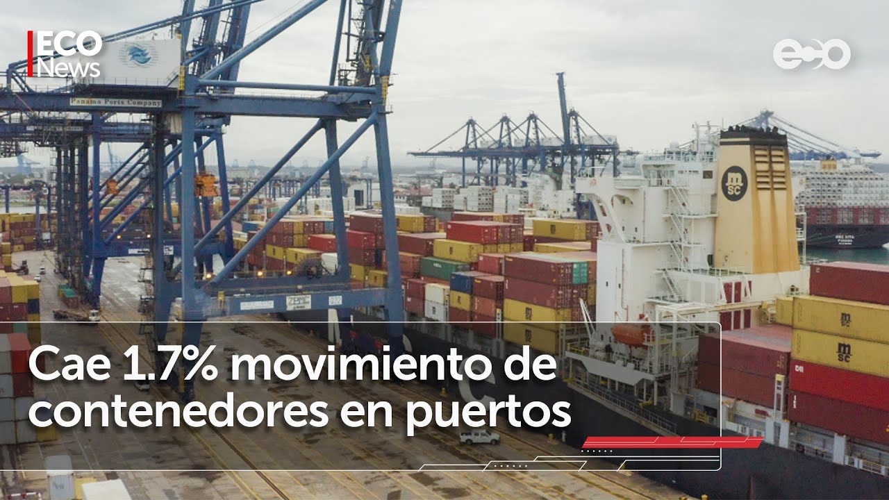 Movimiento de contenedores cae 1.7% en primer semestres | #Eco News ...
