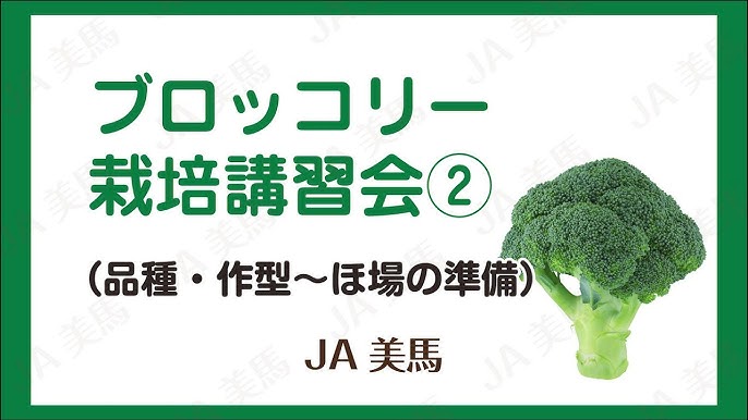 菜の花栽培講習会 栽培のポイント 収穫 Youtube