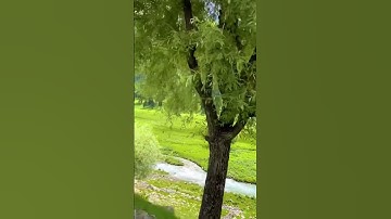 سوره الزمر وَسِيقَ الَّذِينَ كَفَرُوا إِلَىٰ جَهَنَّمَ زُمَرًا ۖ حَتَّىٰ إِذَا جَاءُوهَا فُتِحَتْ...