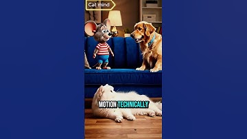 “Funny Cat Workout 😂 | Lazy Cat vs Hyper Rat | Hilarious Cat Shorts 2025”