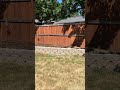 Fence