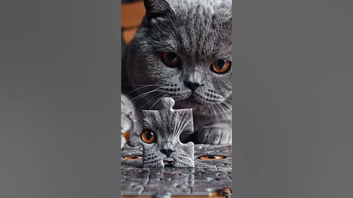 Watch the video about British Shorthair Acting Curious 👀😸 #shorts #britishshorthair #cat #cute #aicat