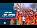 Oduu Afaan Oromoo Fulbaana 03 2018 Oduu Etv Afaan Oromoo Ethiopia