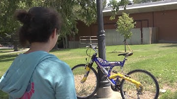 LOCC UB Math Science - Climate Simulator (2016)