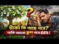 “টাকা কি গাছে ধরে, নাকি আমরা ভুল পথে হাঁটছি?” #টাকা#জীবনেরবাস্তবতা##সাফল্যেরপথ#সংগ্রাম#বাস্তবজীবন