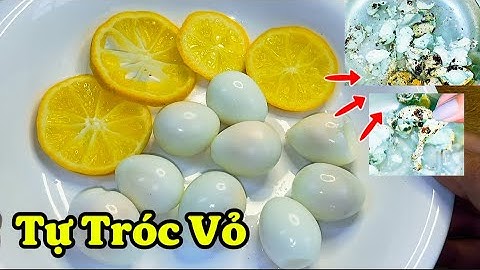 Cách luộc và bóc vỏ trứng cút, trứng gà, trứng vịt Nhanh - Sạch - Không Nát ai làm cũng được