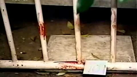 OJ Simpson   The Untold Story documentary english part 1