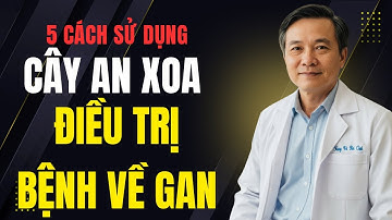 5 Cách Sử Dụng Cây An Xoa Để Điều Trị Bệnh Gan || Bạn Đang Có Vấn Đề Về Gan Nên Tìm Hiểu Nhé !