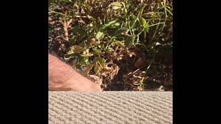 Details Empire Today Bad Carpet Install News