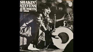 Shakin' Stevens & The Sunsets - The Spirit Of Woodstock