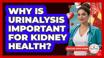 Why Is Urinalysis Important For Kidney Health? - Cholesterol Support Network