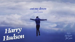 Смотреть клип Harry Hudson - Cut Me Down (Official Visualizer)