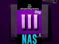 Nas 13 Beef ChopNotSlop Remix King Disease III mp3