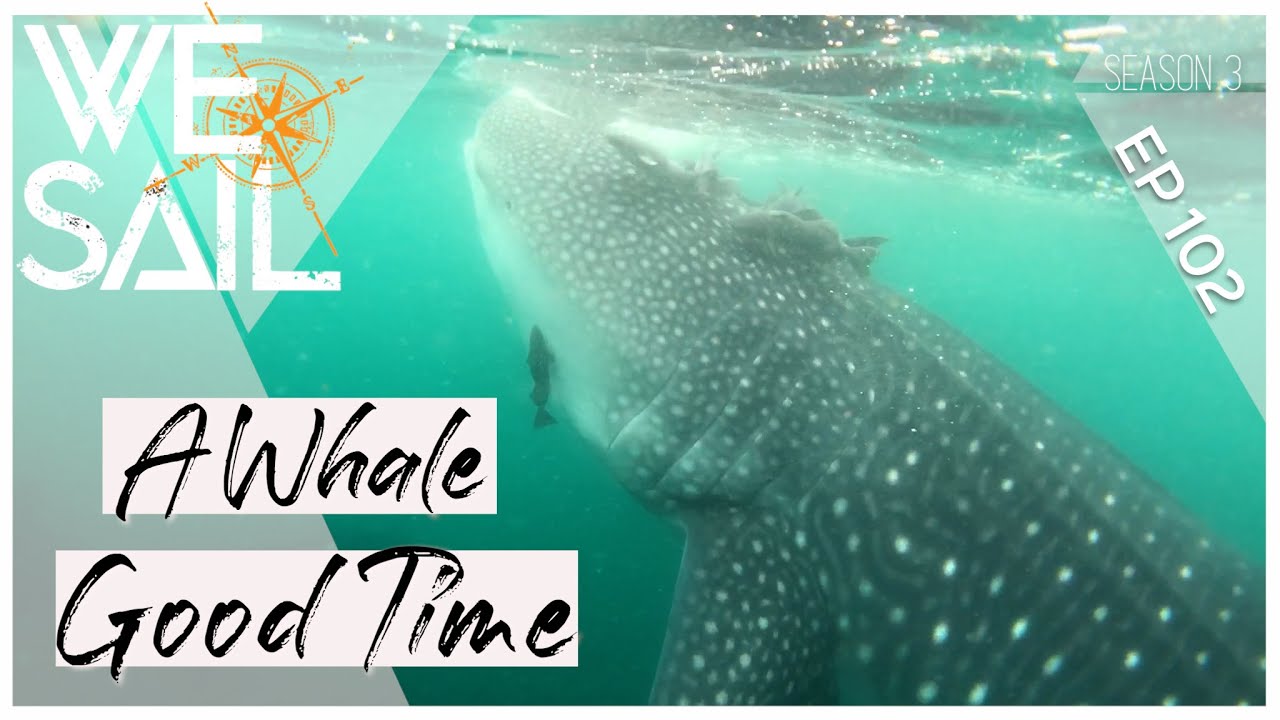A Whale of a Good Time In the Baja | Episode 102