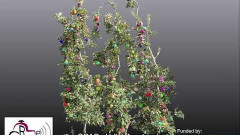 Fruit Detection in Structure-from-Motion Point Clouds