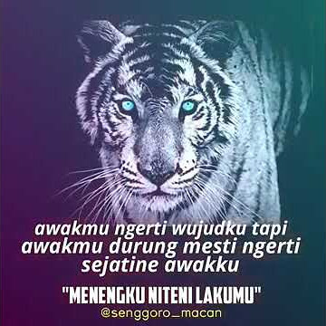 Lagu ajian khodam macan putih