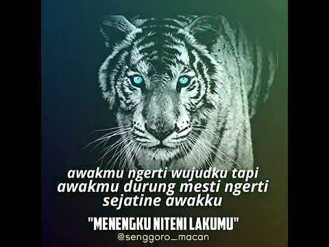 Lagu Ajian Khodam Macan Putih Youtube