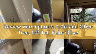Review Warmplants Artificial Olive Tree, 4ft Tall Fake Olive Leaves Plant with Basket, Indoor Outdoo