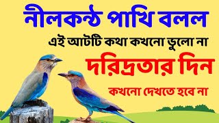 নীলকন্ঠ পাখি বলল এই আটটি কথা কখনো ভুলো না দরিদ্রতার দিন কখনো আসবে না । #moralstories