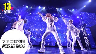 2-4 ファニ動物園 - ONEUS 원어스 Red Thread Kpop Dance Cover【ちぇご13】커버 댄스 カバーダンス