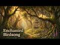 Enchanted Forest Birds | Magical Woodland Ambience for Relaxation, Study &amp; Sleep