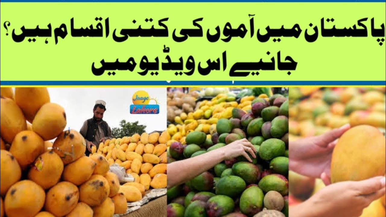 Pakistan main Aammo ki Kitni Iqsam hen ? Janiye es video main