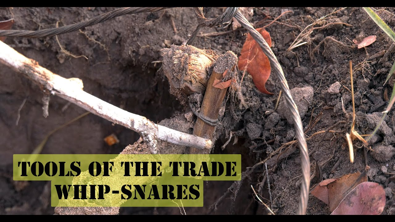 When Is It Lawful To Use A Snare In Pennsylvania Tools of the Poaching Trade: Whip-snares - YouTube