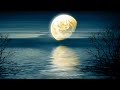 Deep Sleep Music 24/7, Healing Music, Spa, Zen, Calming Music, Sleep, Study Music, Relaxing Music