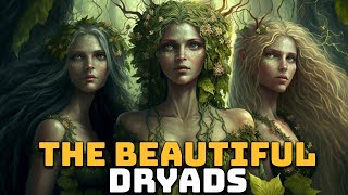 The Dryads: The Enchanting Nymphs of the Forests of Greek Mythology - See U in History