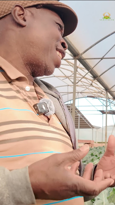 45 Years Farming… You Won’t Guess His Crops! 🥦