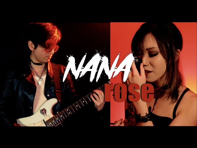 Rose 