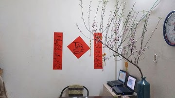 BNC TV: Chúc mừng năm mới Xuân Tân Sửu 2021/Không khí chuẩn bị Tết và đón giao thừa nhà Chíp