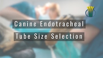 Canine Endotracheal Tube Size Selection