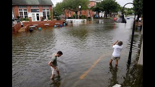 Rainwater Redemption The Essential Guide to Unclog Street Drains and Prevent Flooded Streets