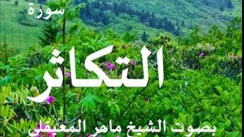 سورة التكاثر بصوت الشيخ / ماهر المعيقلي 102