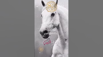 تلاوة خاشعة عطرة مباركة جميلة عذبة للشيخ ماهر المعيقلي ماتيسر من سورة الكهف