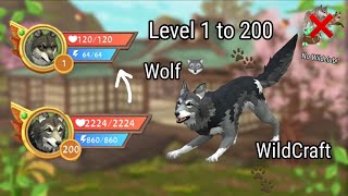 WildCraft Level 1 to 200 Wolf 🐺 ❌No WildClub ❌