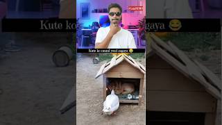 Duck Vs Dog Dogs Or Duck Fight