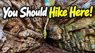 Cove Hollow Trail at Cedar Lake in the Shawnee National Forest