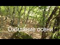 Ожидание осени Слова и мелодия Николая Носкова mp3