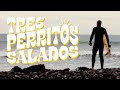 Tres Perritos Salados - Super 8 Film Emulation & Hi8 Tape Baja Surf