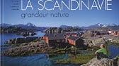 Telecharger Casper Le Chat Voyageur Pdf Epub Youtube - 