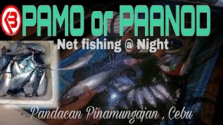 Night Fishing in the Philippines using PAMO NET | Jackpot Daming Huli
