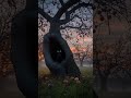 Watcher In The Hollow