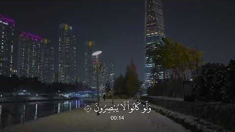 سورة يونس - محمد ديبيروف تلاوة خاشعة
