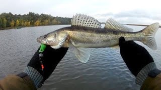 ЛОВЛЯ ОКУНЯ на ОТВОДНОЙ ПОВОДОК с лодки, СУДАК на ДЖИГ. Осень 2019