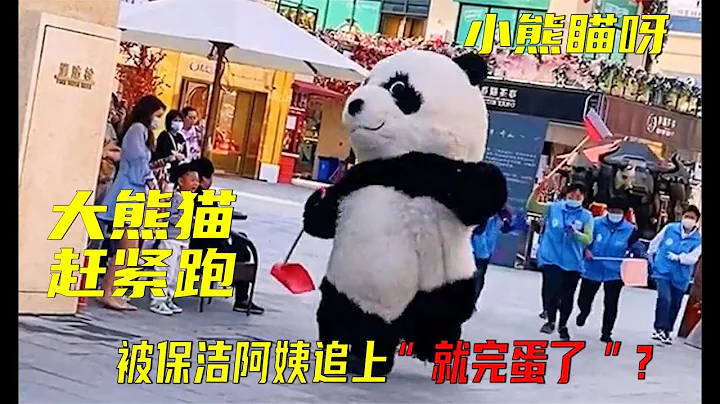 一隻步伐妖嬈的「大熊貓」！整天被保安追著打？他到底經歷了什麼 - 天天要聞