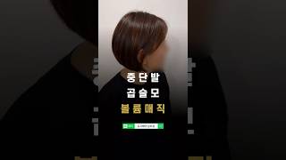 중단발 곱슬모 볼륨매직