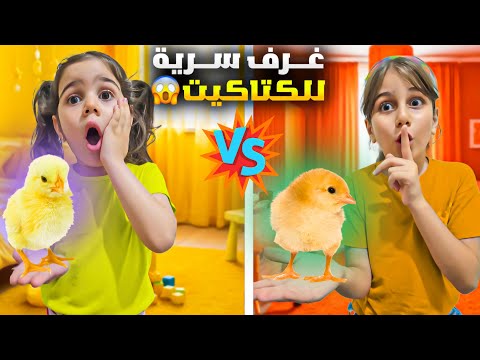 بنينا غرف سرية ملونة للصيصان باللون الأصفر والبرتقالي وهربنا من بابا جننونا