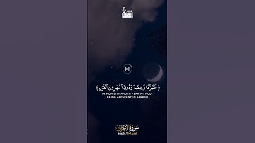 - تلاوة خاشعة للشيخ ياسر الدوسري من  سورة الأعراف ( وإذا قرئ القرآن فاستمعوا له وأنصتوا ) 🌹